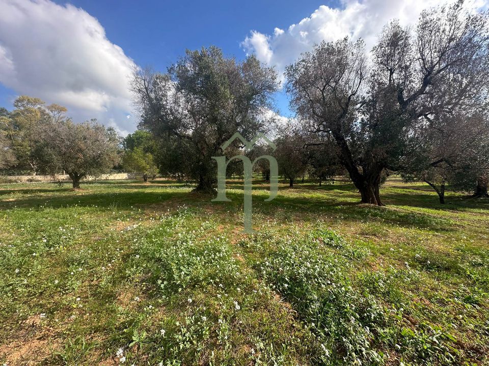 Ruinere i San Vito dei Normanni, Brindisi - foto 4